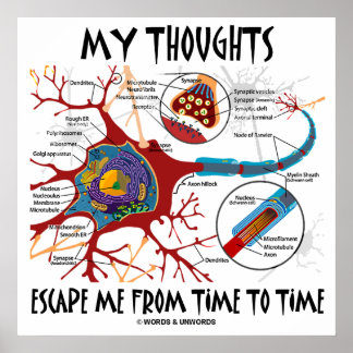 Póster Mis Pensamientos Me Escapan De Tiempo En Tiempo (N