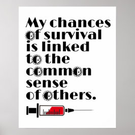 Póster Mis posibilidades de sobrevivencia