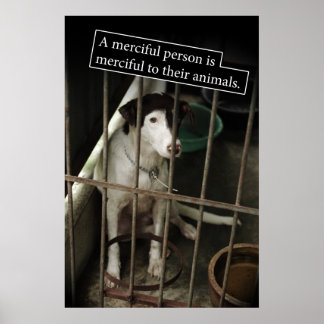 Póster Misericordioso con el Poster de animales