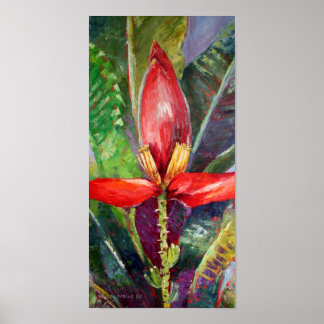 Póster Miss Antigua