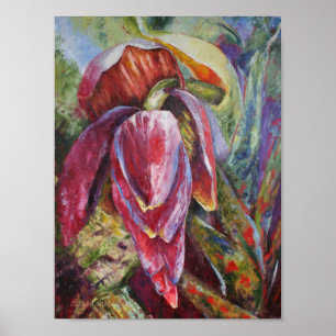 Póster Miss Dominica