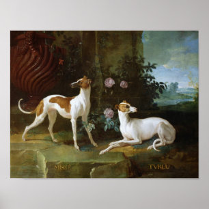 Póster Misse y Turlu, dos galgos de Louis XV