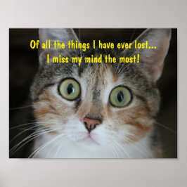 Póster Missing Mind Cat