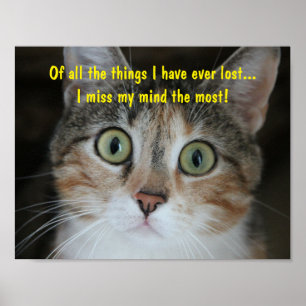 Póster Missing Mind Cat