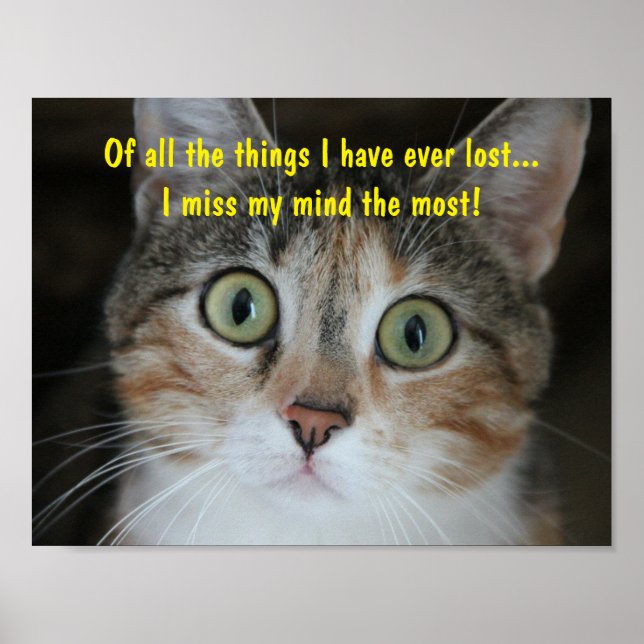 Póster Missing Mind Cat (Frente)