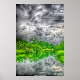 Póster Mississippi Bayou