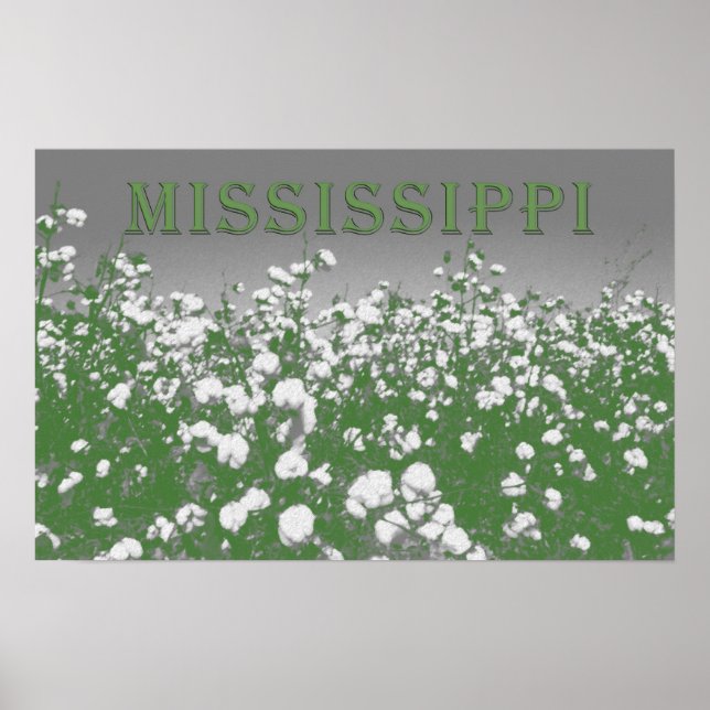 Póster Mississippi Cotton (Frente)