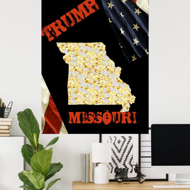 PÓSTER MISSOURI (Oficina en casa)