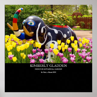 PÓSTER MISSOURI BOTANICAL GARDEN