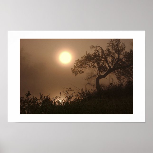 Póster Mist Rise (Frente)