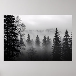 Póster Misterios de la niebla