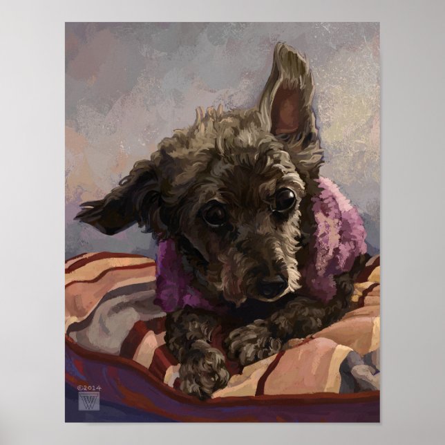Póster Misty el Caniche (Frente)