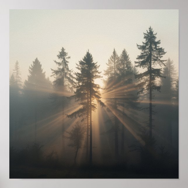 Póster Misty Forest Morning Landscape (Frente)