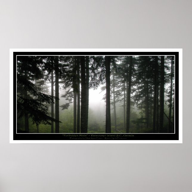Póster Misty Forest Mystical Photo Poster (Frente)