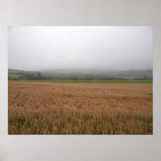 Póster Misty Irish Meadow Print