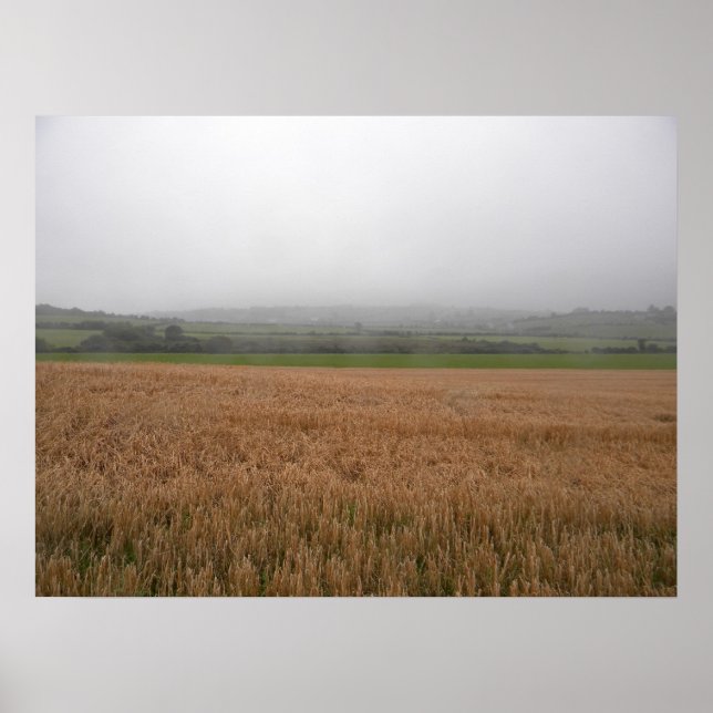 Póster Misty Irish Meadow Print (Frente)