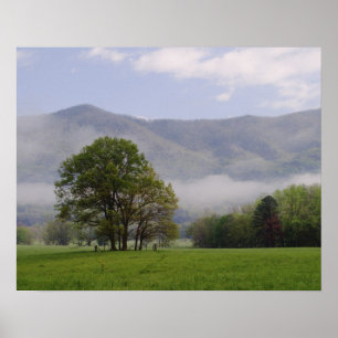 Póster Misty meadow and Rich Mountain, Cades Cove,