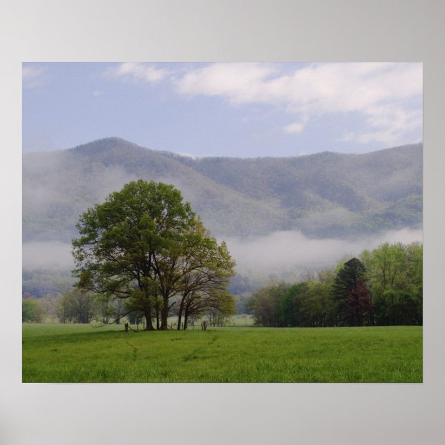 Póster Misty meadow and Rich Mountain, Cades Cove, (Frente)