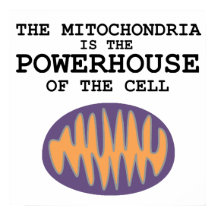 Mitochondria es la casa poderosa - Poster
