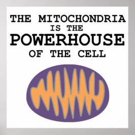 Póster Mitochondria es la casa poderosa - Poster