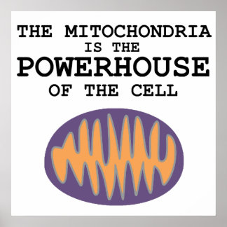 Póster Mitochondria es la casa poderosa - Poster
