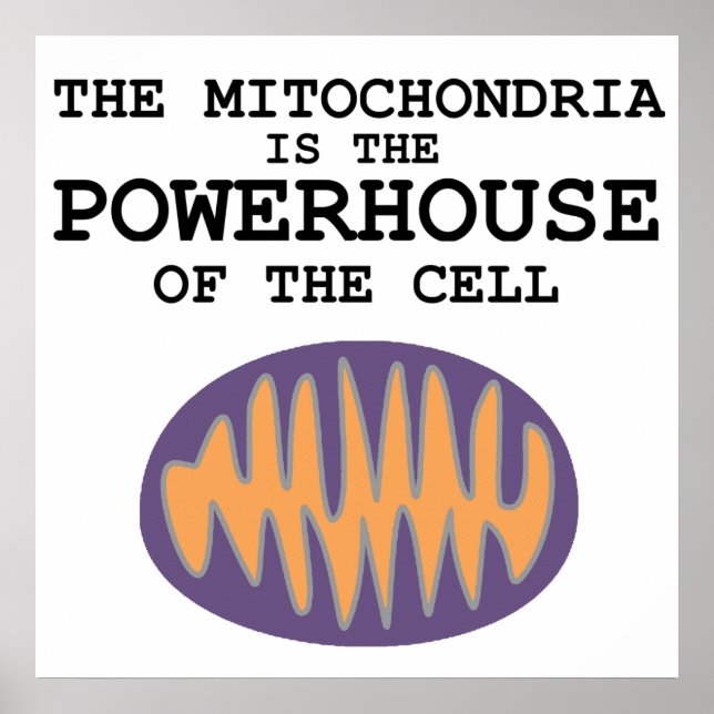 Póster Mitochondria es la casa poderosa - Poster (Frente)