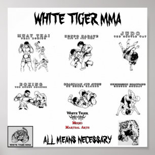 Póster mma all arts2, Logo1_copy-224x172, tiger mma, u...