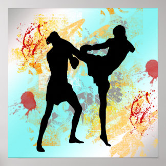 Póster MMA Kick poster