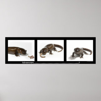 Póster Mmmmmmmm...........................!