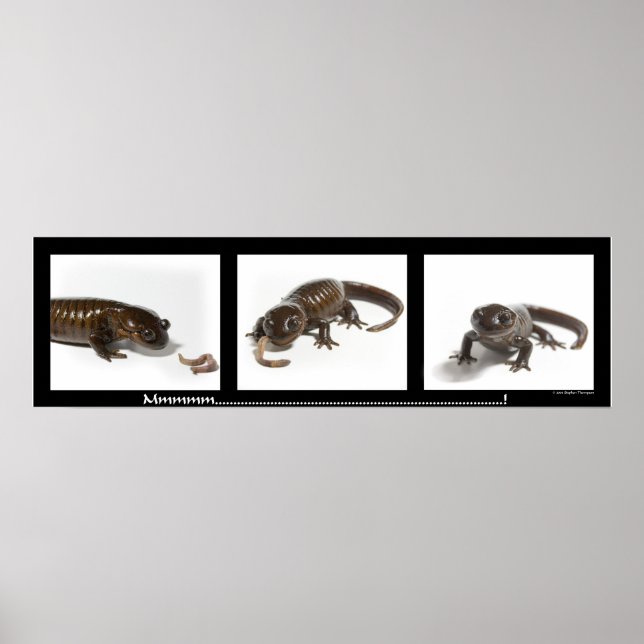 Póster Mmmmmmmm...........................! (Frente)