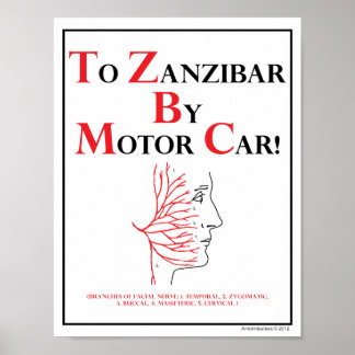 Póster Mnemotécnico: A Zanzíbar En Automóvil