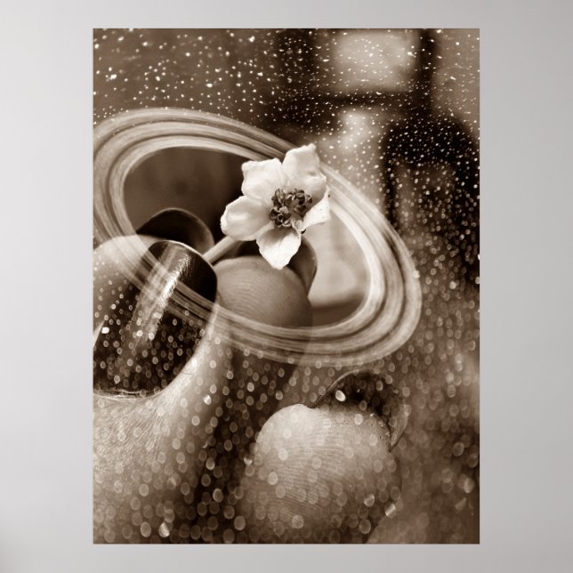 Póster mni flor de pimentão (Frente)