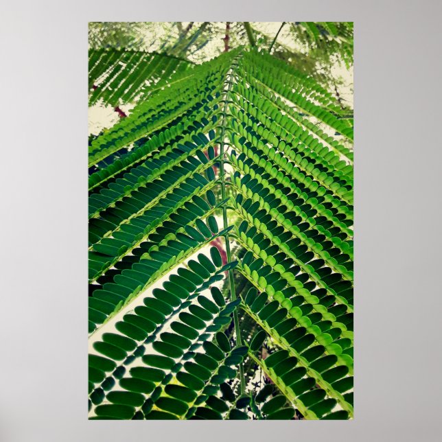 Póster mni folha (Frente)