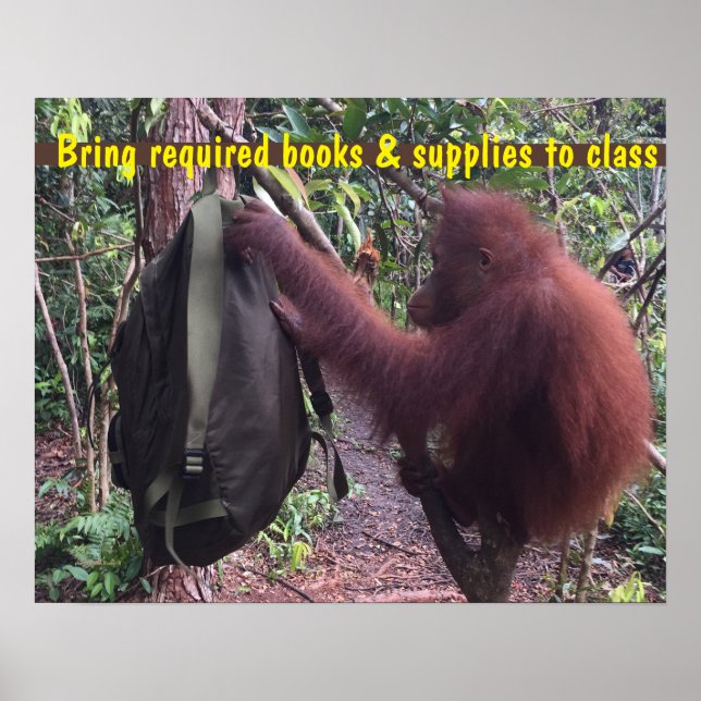 Póster Mochila estudiantil de profesor en aula (Frente)