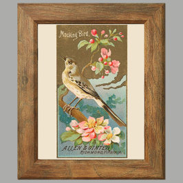 Póster Mockingbird, juego de 8 (5 de 8) Bird Gallery Wall