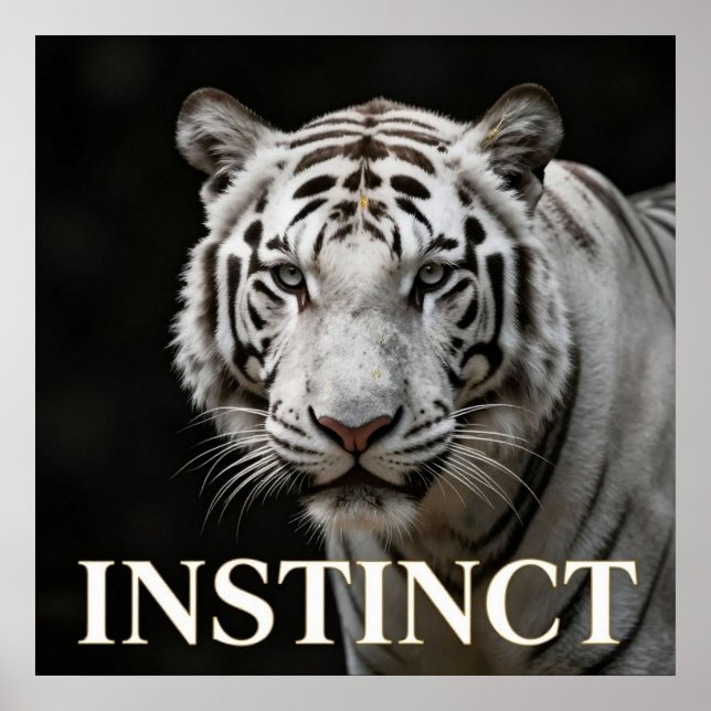 Póster Moda de lujo del tigre blanco (Frente)