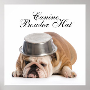 Póster Moda divertida de Bulldog - Poster - srf