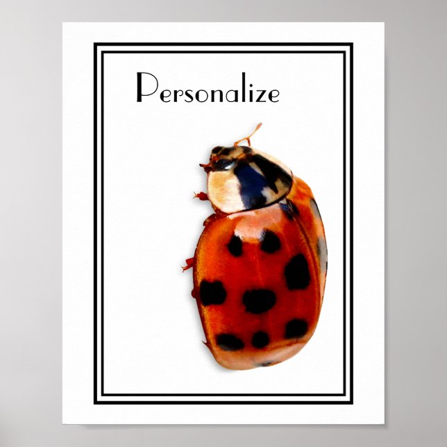 Póster Moda Pared Ladybug con nombre (Frente)