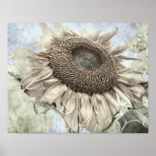 Póster Moda Pastel amarillo girasol  Vintage Antigüedad