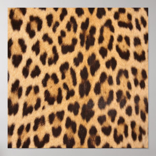 Póster moda salvaje safari chic femenino estampado leopar