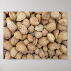 Póster Modalidades del otoño en los almendros