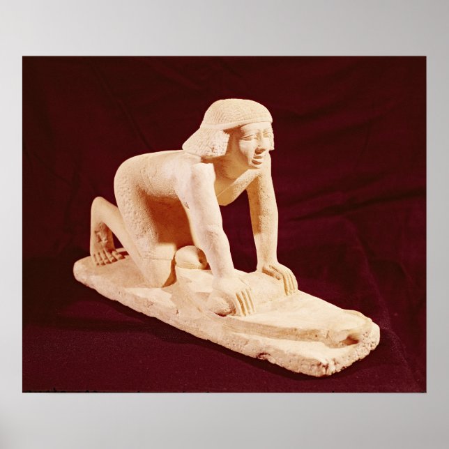 Póster Modelo de grano de molienda de criadero, Reino ant (Frente)