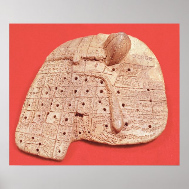 Póster Modelo de hígado de oveja (Frente)