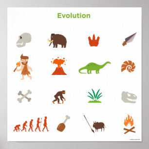 Póster Modelo de la evolución