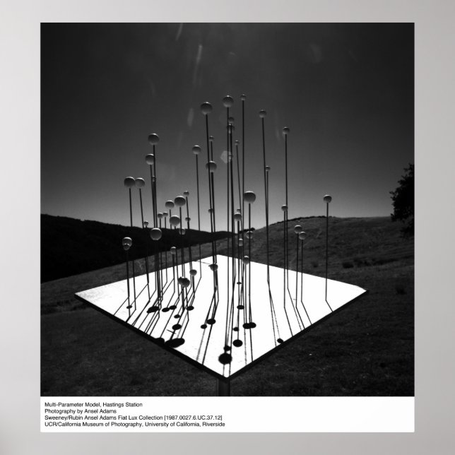 Póster Modelo de varios parámetros, Hastings, de Ansel Ad (Frente)
