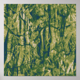 Póster Modelo del camuflaje de la corteza de árbol