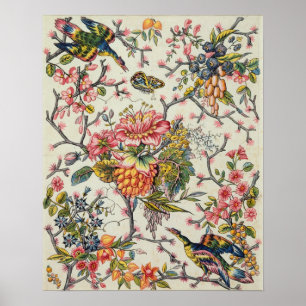 Póster Modelo indio