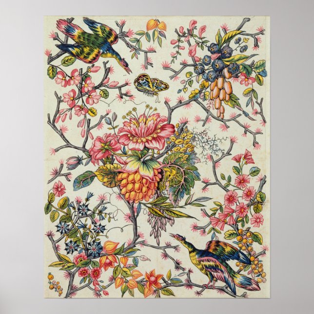 Póster Modelo indio (Frente)