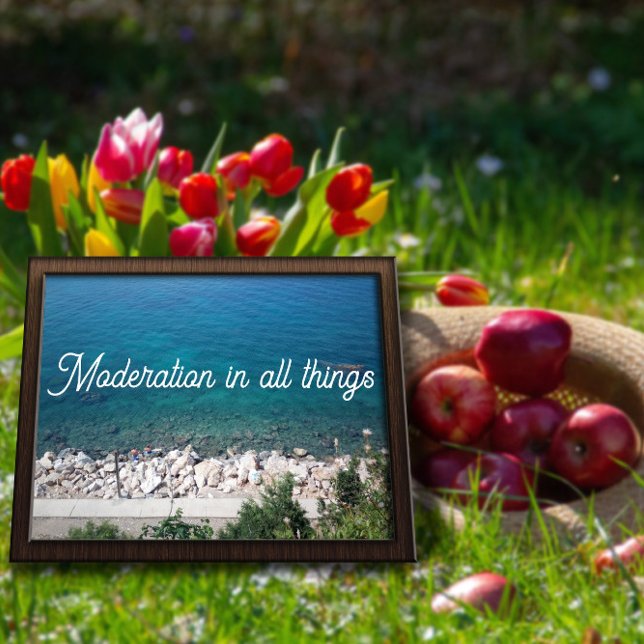 Póster Moderación en todas las cosas poster del proverbio (Subido por el creador)