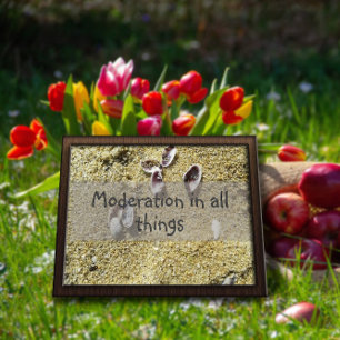 Póster Moderación en todas las cosas sabiduría diciendo p